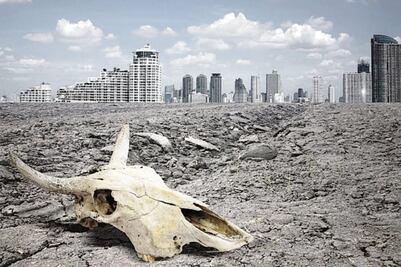 Sexta extinción masiva de especies en la Tierra