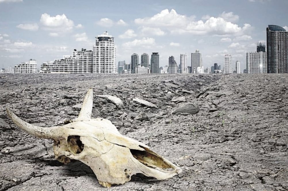 Fotografía: Especial