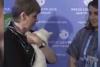 El gato Aquiles es el oráculo del Mundial de Rusia 2018