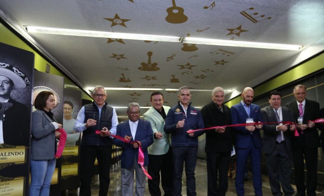 (Foto: @ManceraMiguelMX)