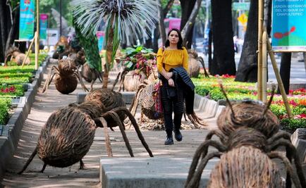 Hormigas gigantes toman Paseo de la Reforma