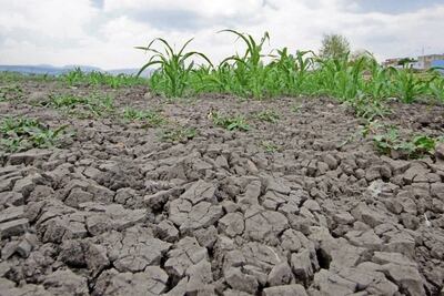 Alto grado de sequía en más del 20% de municipios en México; urgen a realizar inversiones para eficientar el recurso