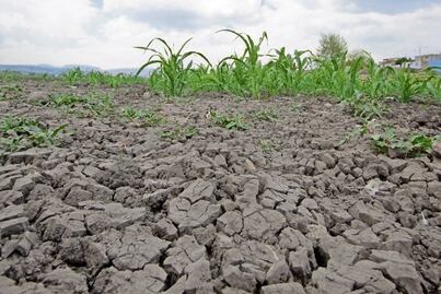 Alto grado de sequía en más del 20% de municipios en México; urgen a realizar inversiones para eficientar el recurso