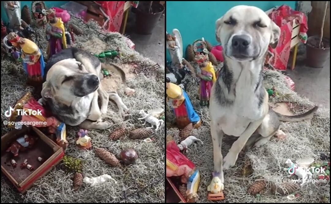 Foto: captura de pantalla/El Universal/