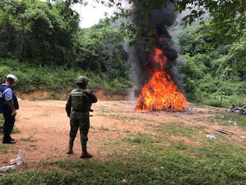 Incineran drogas en Guerrero y Tabasco