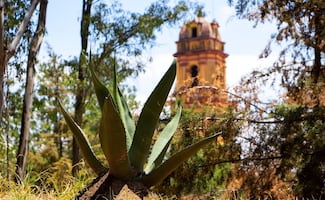 Conoce la leyenda de la campana de oro en Metepec
