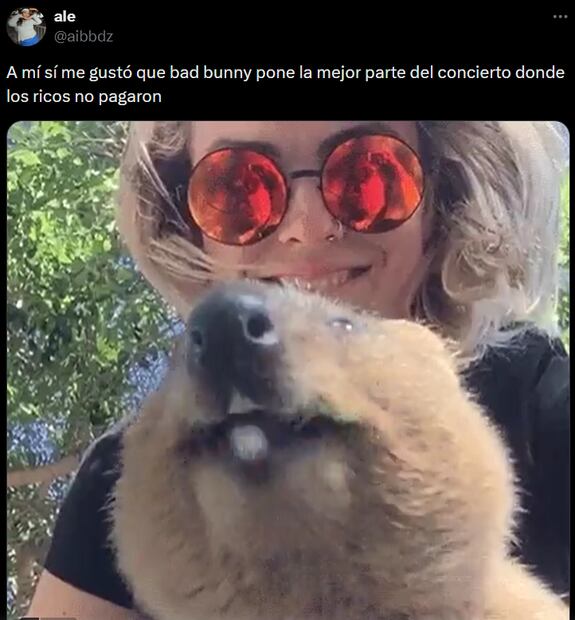 Foto: Captura de pantalla en X