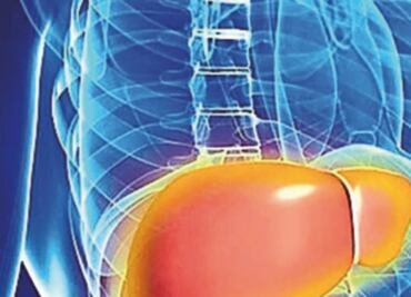 Trabajan con nuevo método para diagnosticar el hígado graso