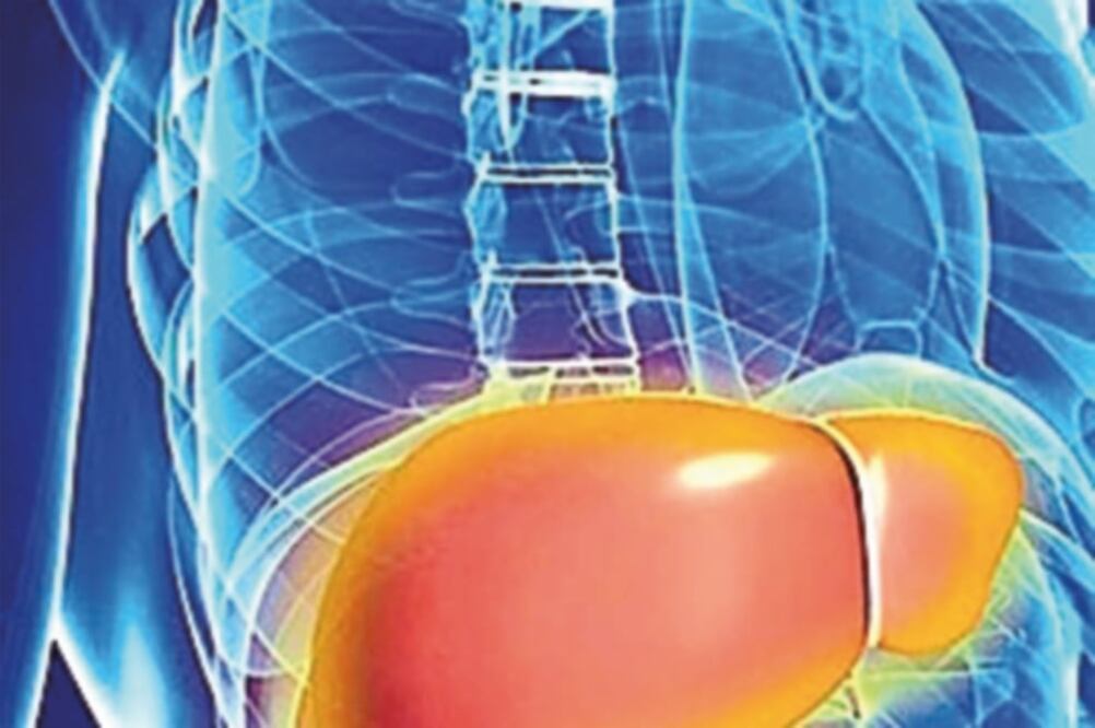 El hígado elimina de la sangre sustancias que puedan resultar nocivas. (ESPECIAL)