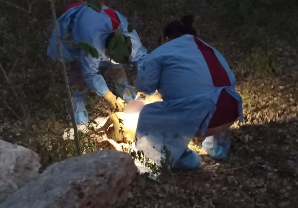 Denuncian nuevo caso de crueldad animal en Yucatán; asesinan al perrito "Niño". Foto: Especial