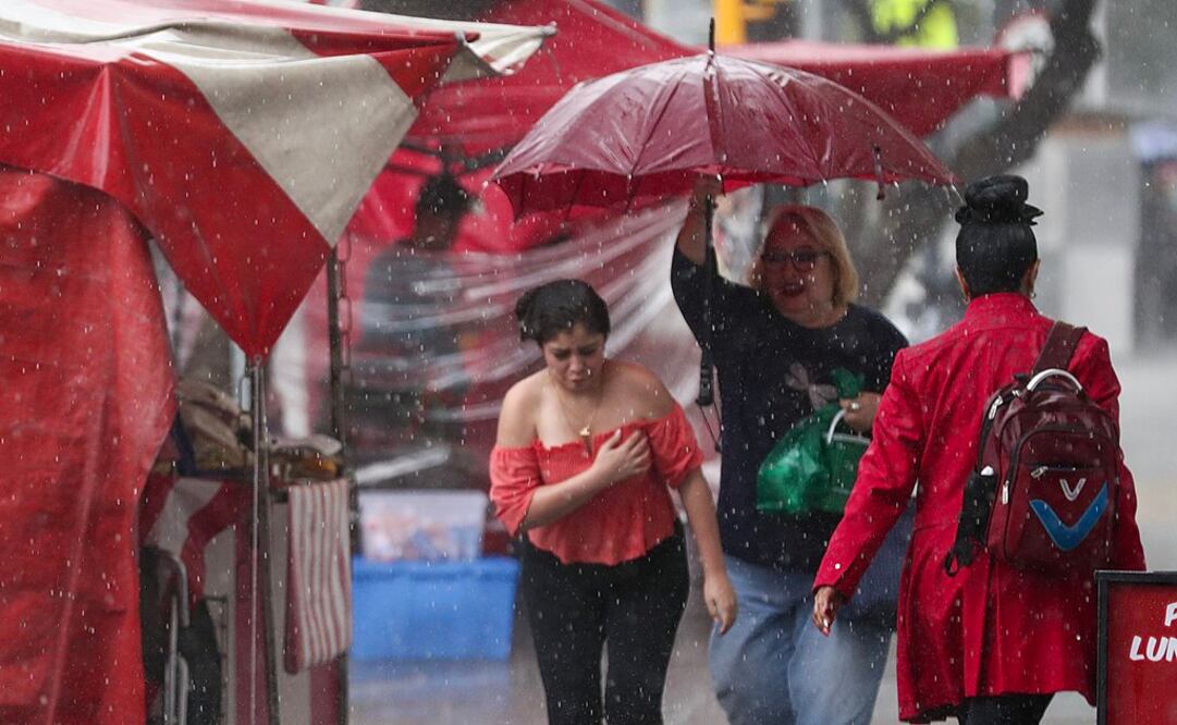 Foto: Diego Simón Sánchez. EL UNIVERSAL