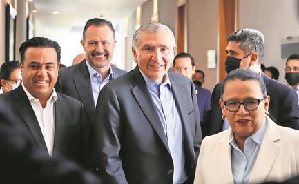 Gobierno no promueve la división: Segob