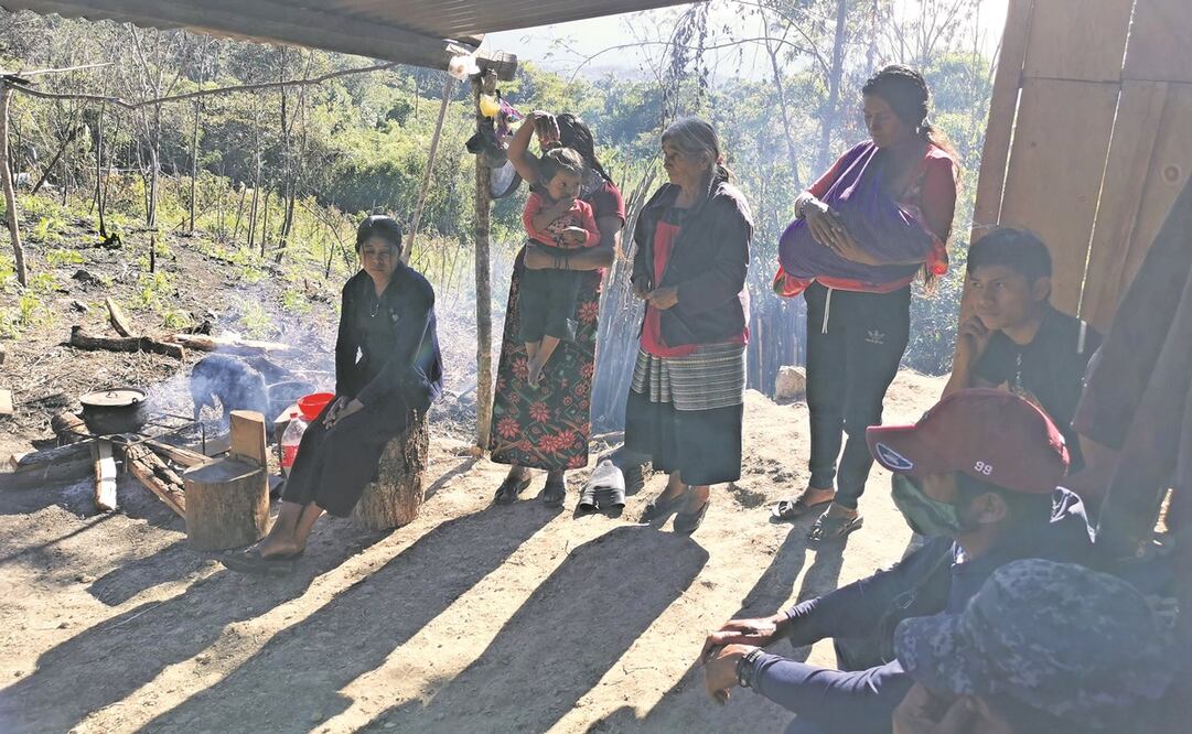 Refugiadas en las montañas viven 20 familias que fueron desplazadas de la comunidad de El Nacimiento, en Ocosingo. Foto: Fredy Martín Pérez/ EL UNIVERSAL.