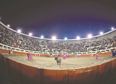 Pensando en el futuro del toreo