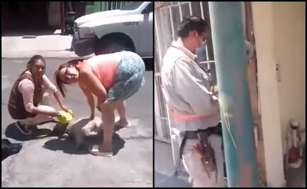VIDEO. Denuncian a trabajador de la CFE de herir a perrita con un desarmador en Puebla