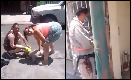 VIDEO. Denuncian a trabajador de la CFE de herir a perrita con un desarmador en Puebla