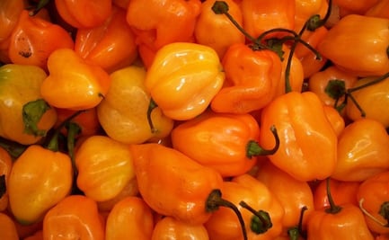 Enchílate con esta deliciosa salsa habanera casera