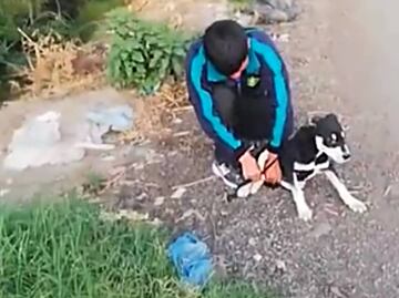 Ata a su perro y lo avienta a río en Chiconcuac; vecino lo cacha y lo obliga a rescatarlo