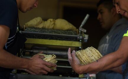 Acusan que el kilo de tortilla se vende hasta en 16 pesos en Xochimilco, Coyoacán, Milpa Alta y Tláhuac