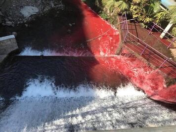 Denuncian contaminación de cauce en parque de Morelos