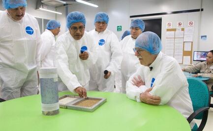 Inicia reapertura de planta de producción de moscas estériles en Chiapas; estará lista en 2026 para combartir al gusano barrenador