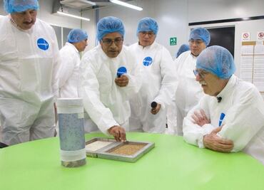 Inicia reapertura de planta de producción de moscas estériles en Chiapas; estará lista en 2026 para combartir al gusano barrenador