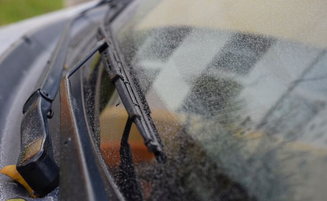 Foto: Tony Rivera/ EL UNIVERSAL