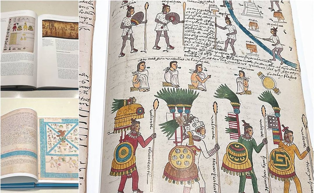 Fotos: EL COLEGIO NACIONAL