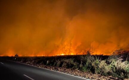 Suman 62 incendios forestales en Veracruz