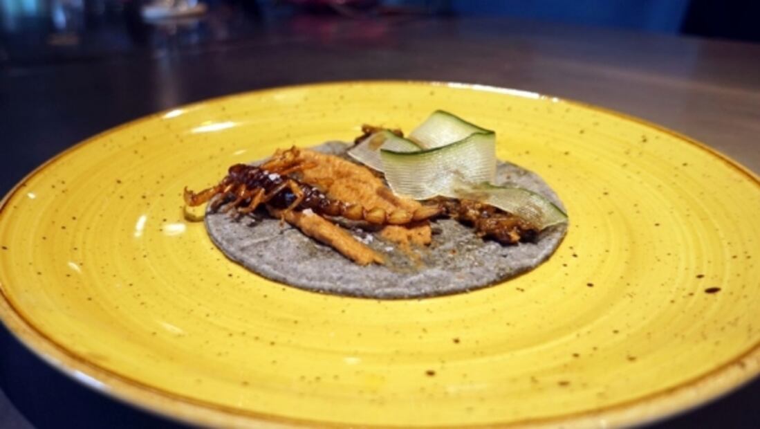 Presentan menú especial con bichos y mezcales