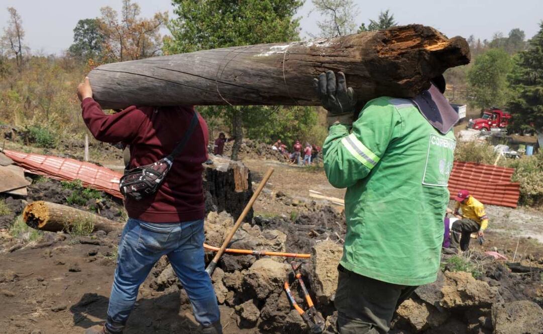Recuperan 68 hectáreas de suelo de conservación del Parque Ecoturístico El Tepozán (05/03/2025). Foto: Especial