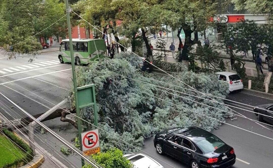 (Foto: Twitter @Iberomed)