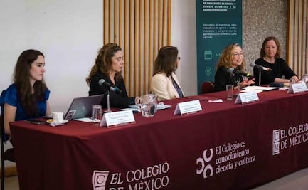 Especialistas buscan visibilizar impacto ambiental en las mujeres; construyen indicadores con perspectiva de género