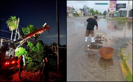 Remanentes de “Hilary” dejan árboles caídos, apagones e inundaciones en Sinaloa