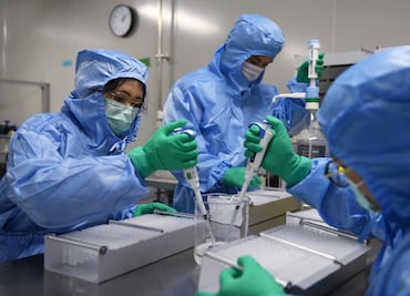 Mexican scientists look into SARS-CoV-2 RNA replication machinery to speed up COVID-19 drug development