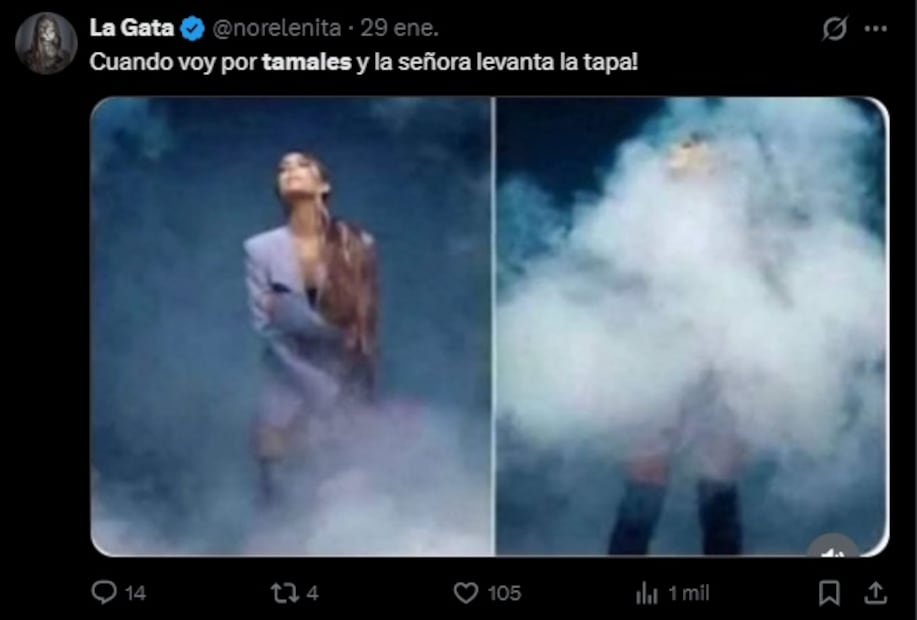 Los mejores memes del Día de la Candelaria. Foto: Captura de pantalla