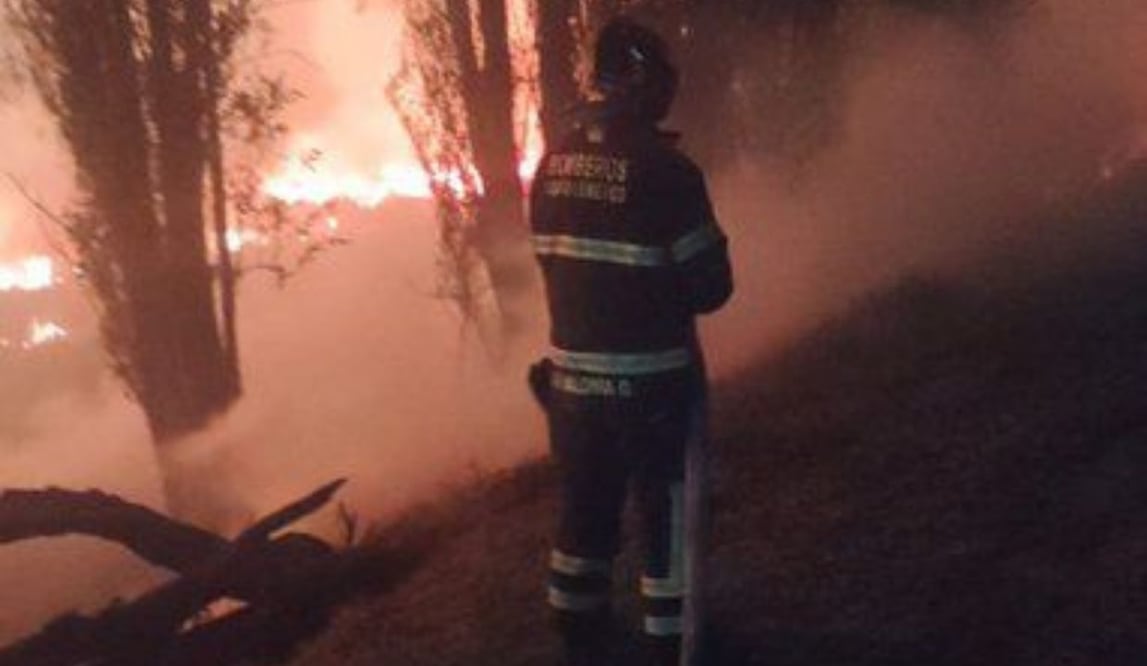 Incendio de pastizal en Xochimilco moviliza a emergencias; fuego consume dos hectáreas en Circuito Cuemanco. Foto: Especial
