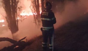 Incendio de pastizal en Xochimilco moviliza a cuerpos de emergencia; fuego consume dos hectáreas en Circuito Cuemanco