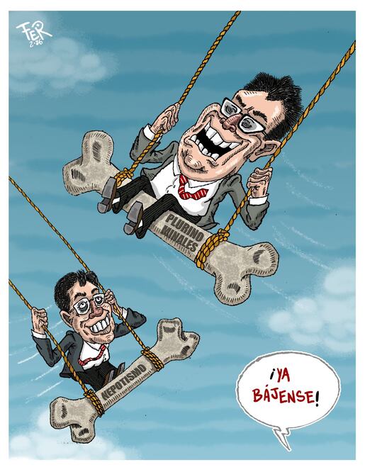 Cartón de FER