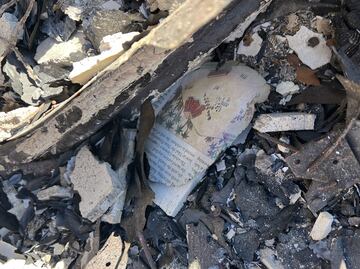 Fuego en Los Ángeles arrasó con archivo sobre la historia chicana