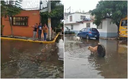 Se desborda el "Dren Xochiaca" en Neza; no se reportan viviendas afectadas