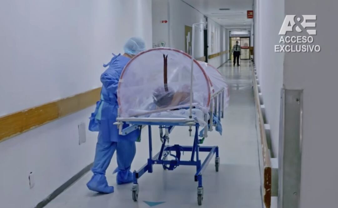 Médicos. Foto: Captura