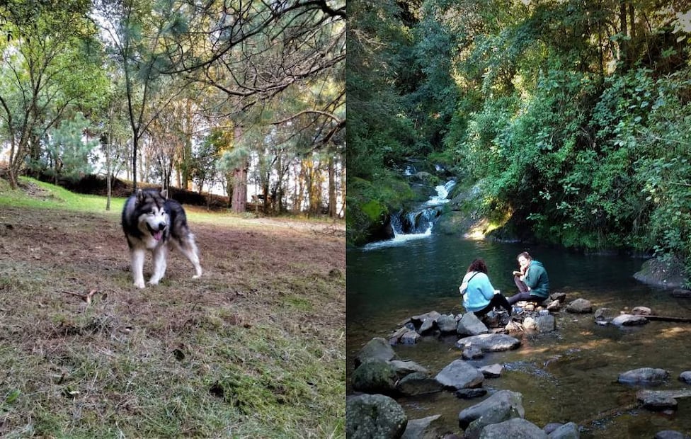 Fotos: Campamento Las Manzanas