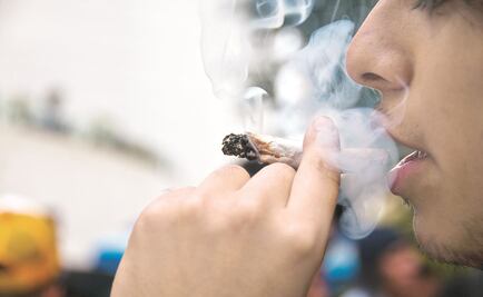 Legalización de marihuana requiere más que amparos: ministro