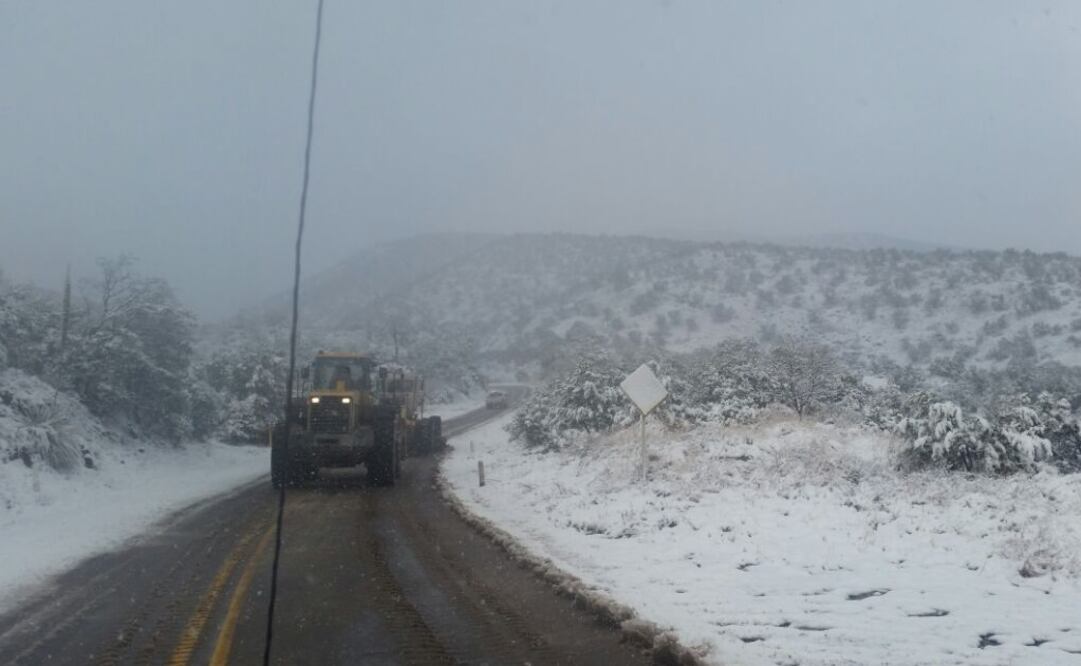 Foto: Policía Federal