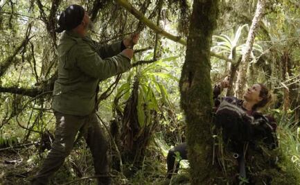 Ni morbo, ni dramas, ni chisme como en "LCDLF"