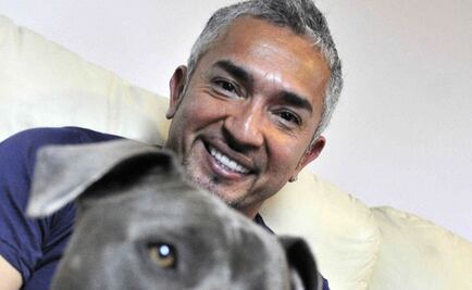 "El encantador de perros" no enfrentará cargos por crueldad animal