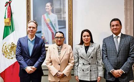 Gobierno ofrece a Verde y PT salvar pluris y parte de su beca