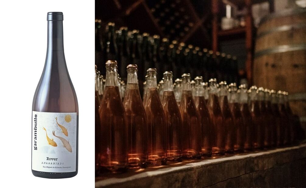 Aprender sobre vino mexicano, es ideal para cualquier sommelier. Foto: Especial