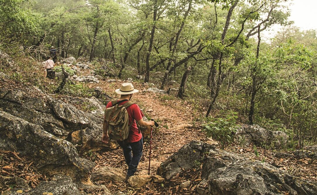 Un viaje para explorar la Sierra Gorda de Querétaro. Foto: Cortesía Secretaría de Turismo de Querétaro